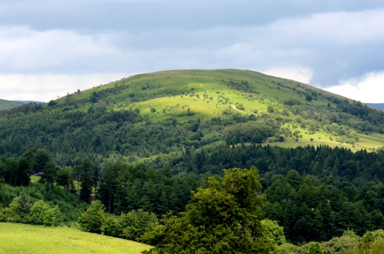 Castle Hill