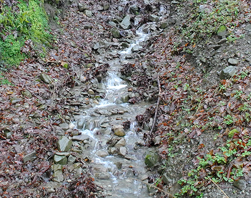 park stream