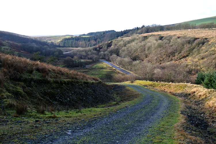 Wauchope road