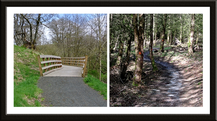 cycle track 7 Stanes