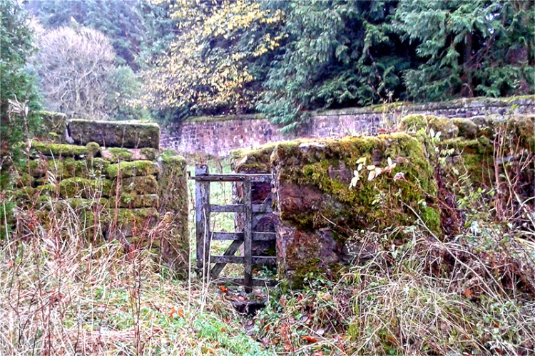 gate and wall Lamb Hill