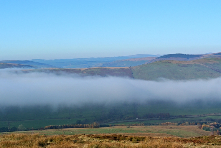 Mist in Ewes valley