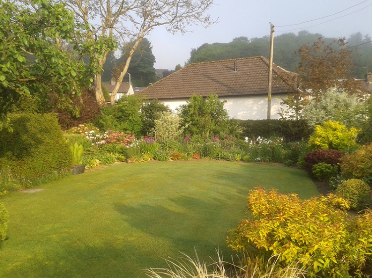 Garden in morning