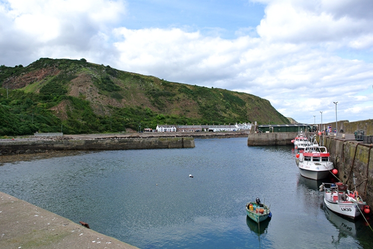 Burnmouth harbour