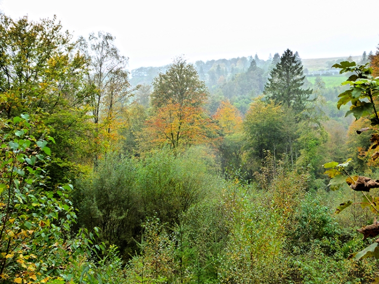 autumn colour Broomholm