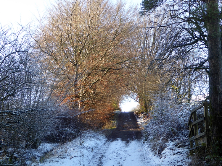 Track to meikleholm hill