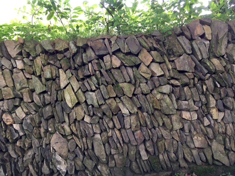 Devon wall