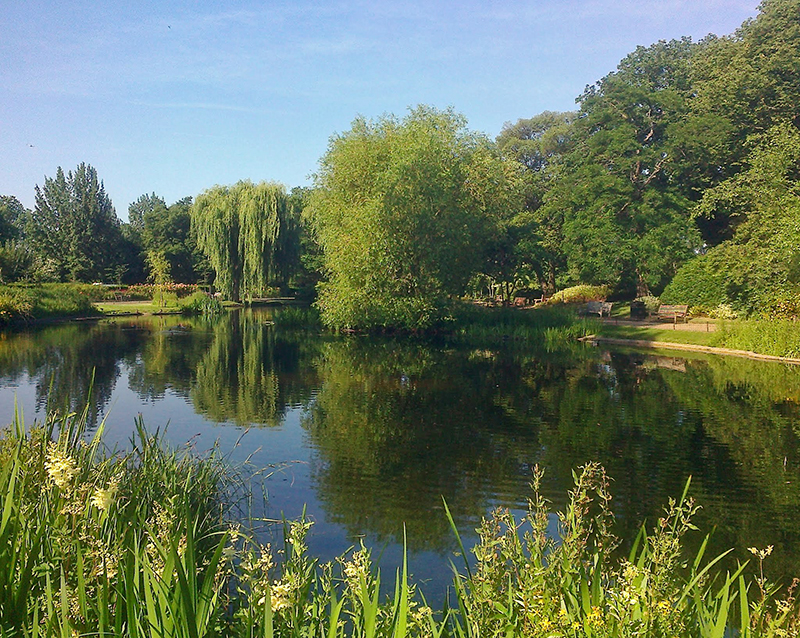 Queen Mary's Garden, Regent's Park