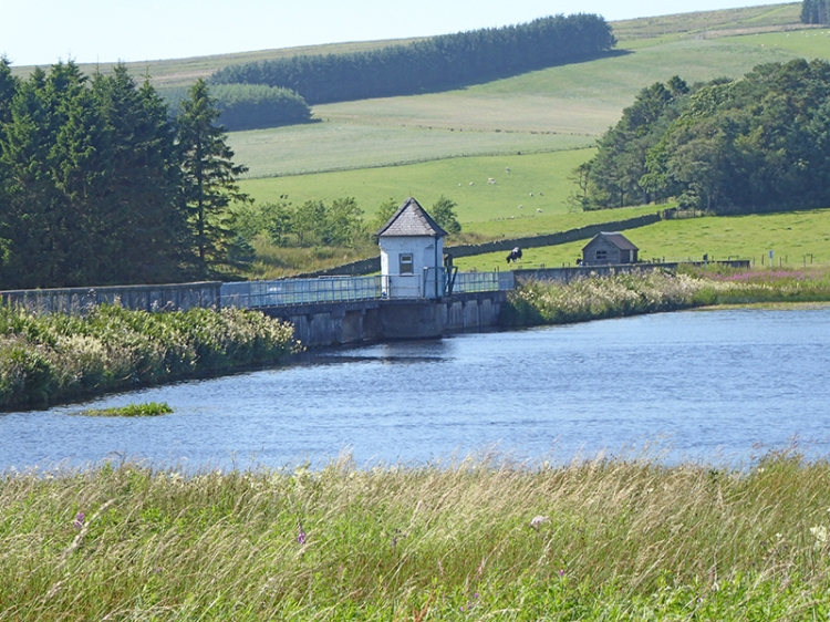 Winterhope reservoir