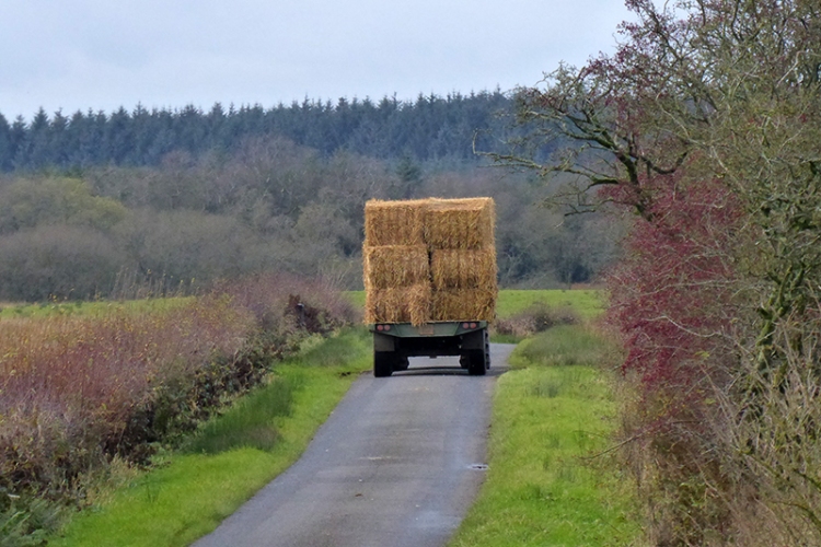 tractor with hay