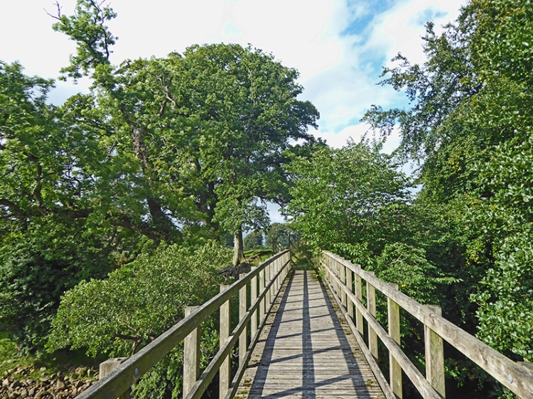 Gelt footbridge
