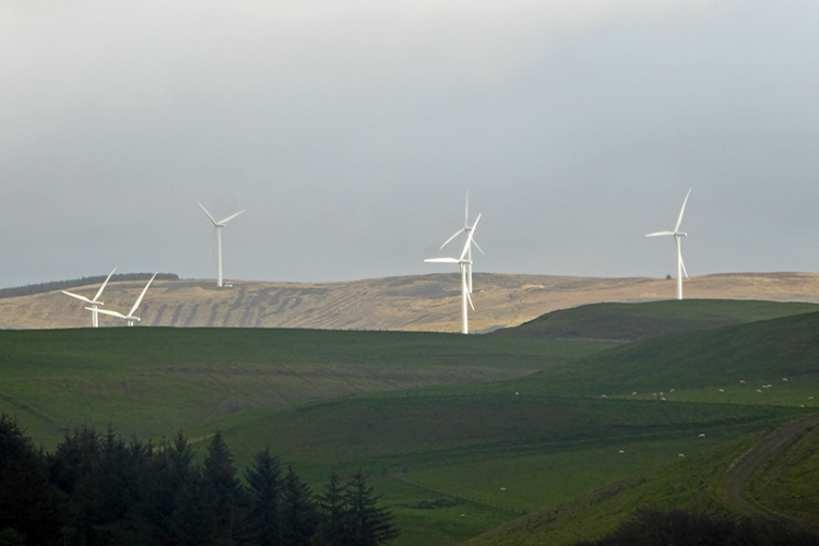 ewe hill windfarm in sun