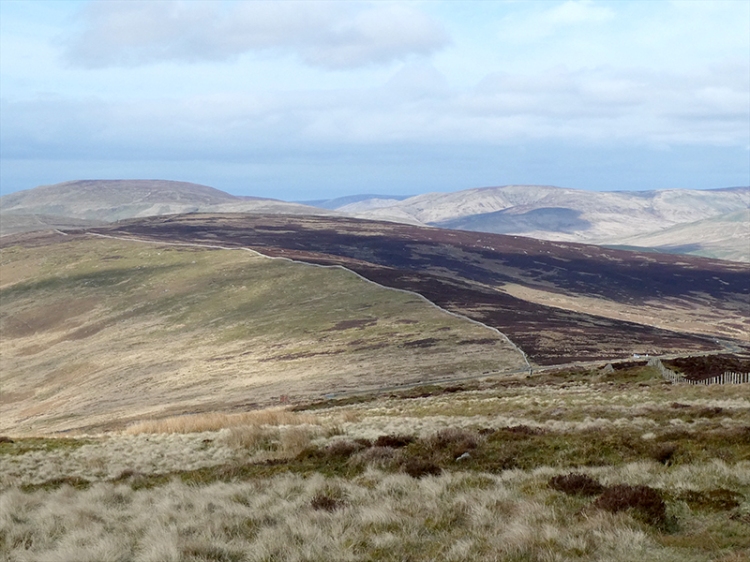 view of grouse and sheep moor